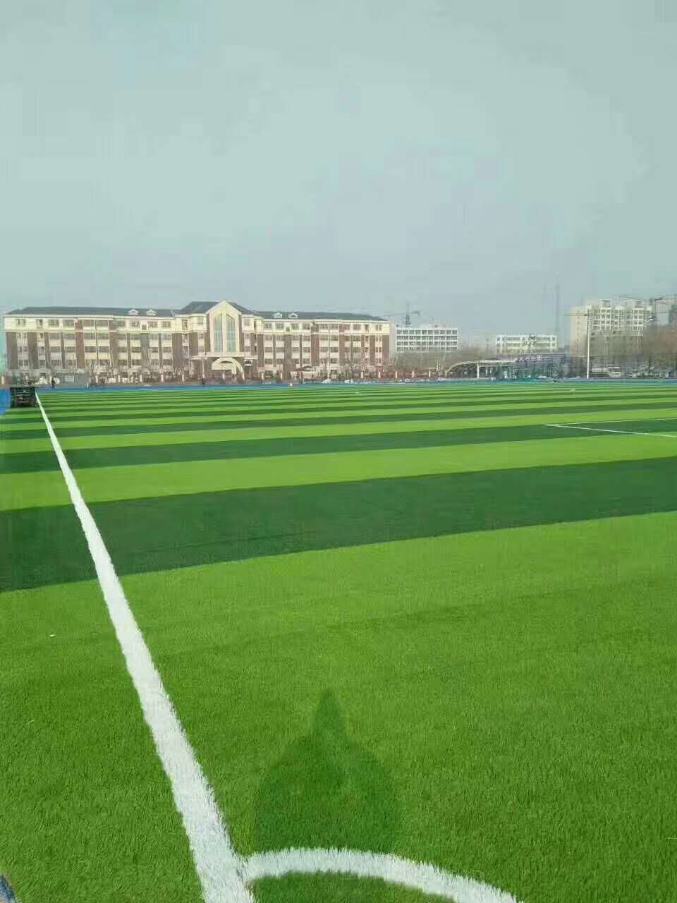 威海市塑胶颗粒仿真草坪 - 方案